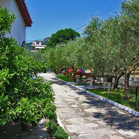 Dimos Bungalows PalaiónTsiflíkion Kültér fotó